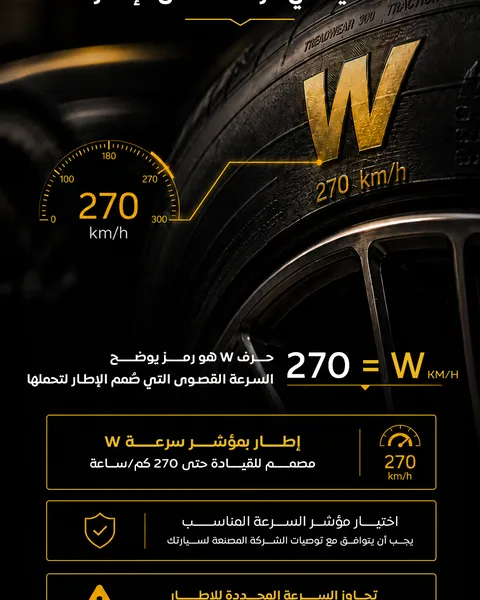 نِك لحماية السيارات