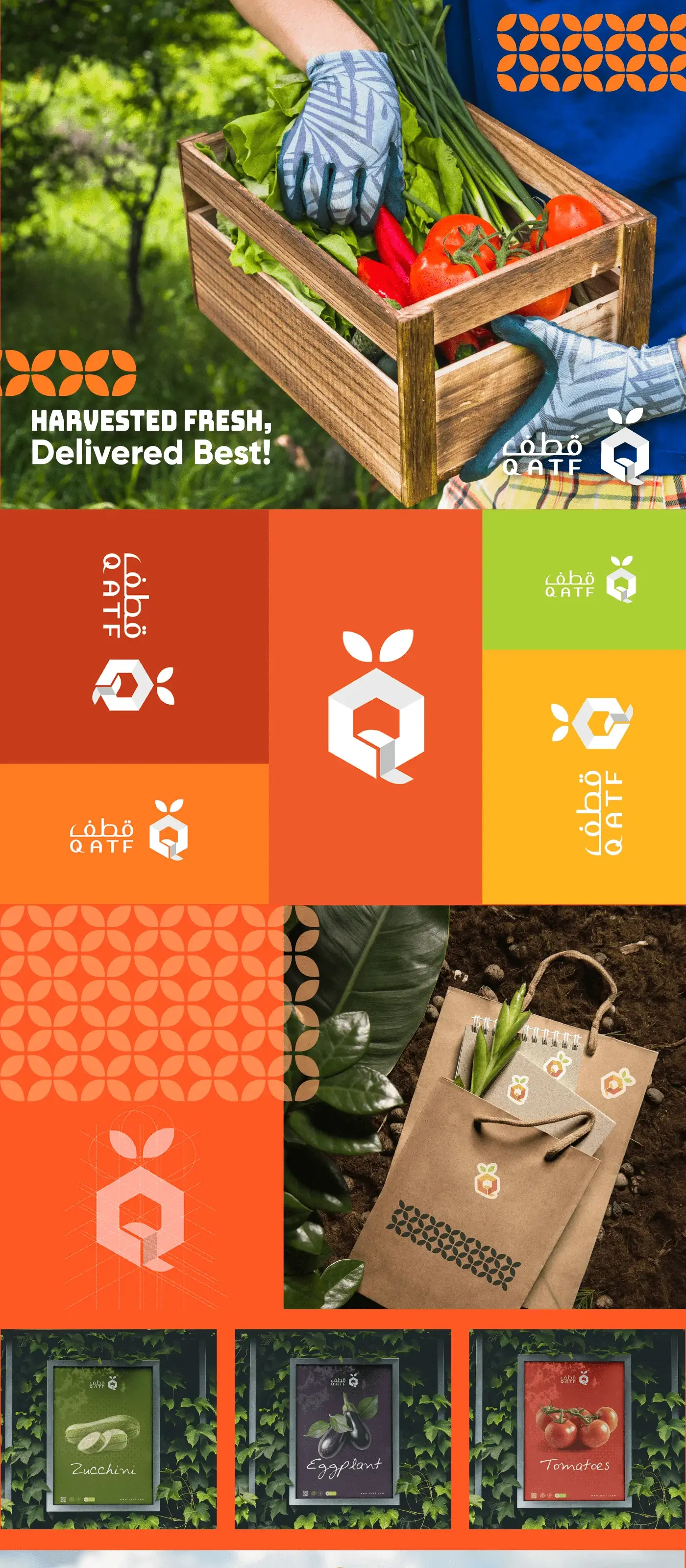 Qatf: Fresh Branding for Premium Agricultural Products